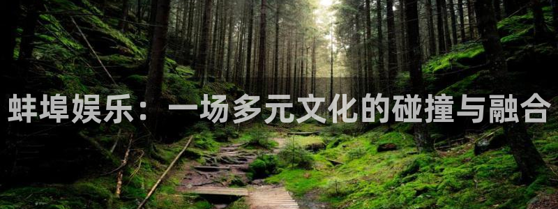 赢彩网股份