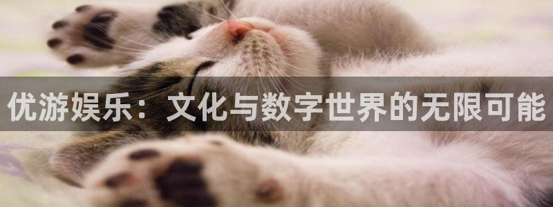 赢彩网体育3
