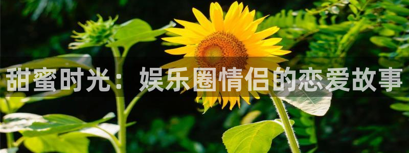 赢彩网平台在线开户：甜蜜时光：娱乐圈情侣的恋爱故事