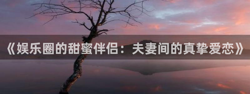 赢彩网代理注册官网入口：《娱乐圈的甜蜜伴侣：夫妻间的真挚爱恋》