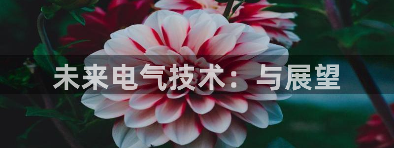赢彩网4平台：未来电气技术：与展望