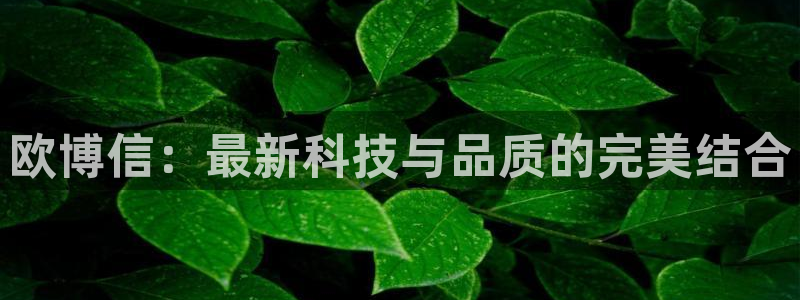 赢彩网3登陆：欧博信：最新科技与品质的完美结合