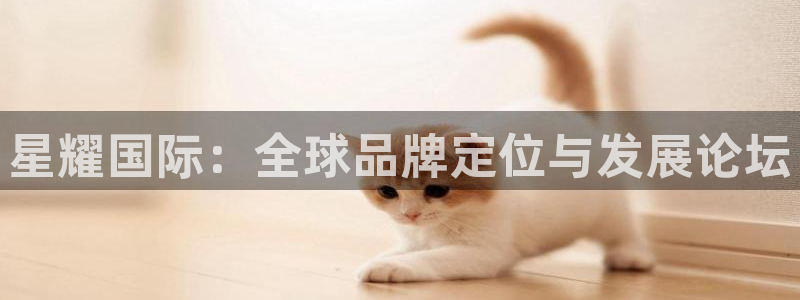 赢彩网：星耀国际：全球品牌定位与发展论坛