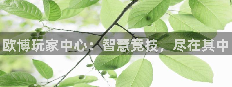 赢彩网2注册：欧博玩家中心：智慧竞技，尽在其中