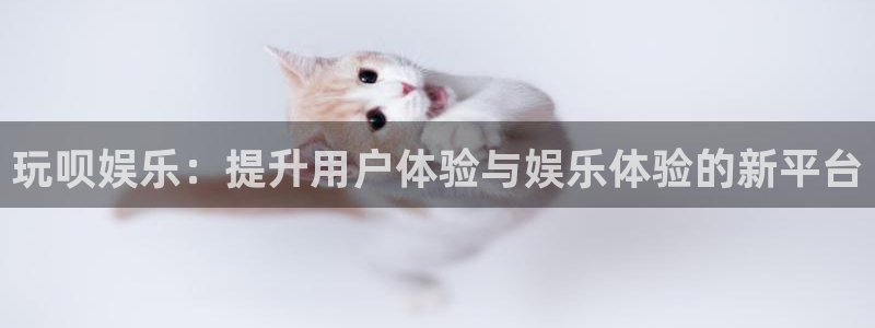 赢彩网注册：玩呗娱乐：提升用户体验与娱乐体验的新平台