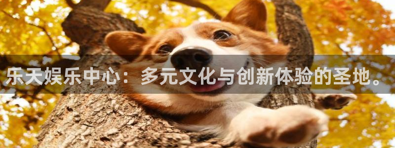 赢彩网官网注册：乐天娱乐中心：多元文化与创新体验的圣地。