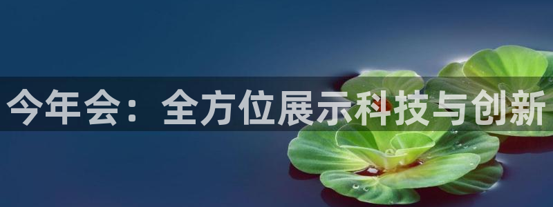 赢彩网体育和杏耀是哪个公司的：今年会：全方位展示科技与创新
