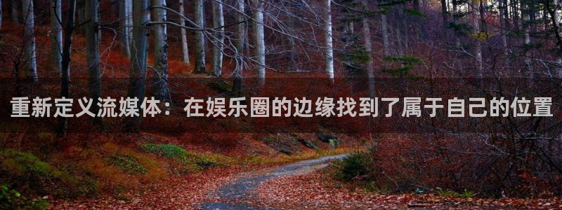赢彩网登录界面入口：重新定义流媒体：在娱乐圈的边缘找到了属于自己的位置