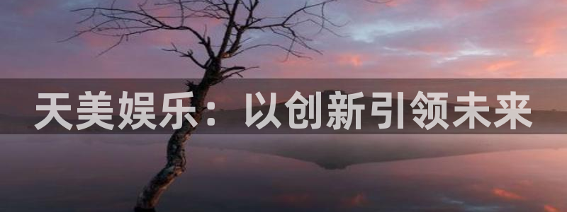 赢彩网5：天美娱乐：以创新引领未来