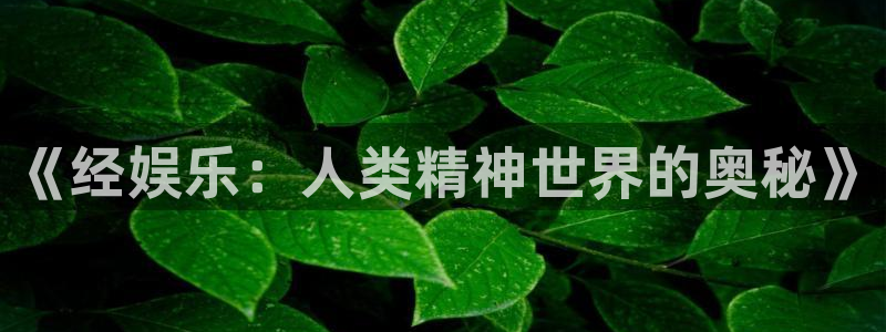 赢彩网现在优惠多少：《经娱乐：人类精神世界的奥秘》