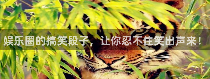 赢彩网平台在线开户：娱乐圈的搞笑段子，让你忍不住笑出声来！