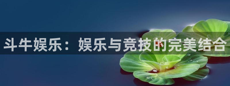 赢彩网凯捷平台注册链接：斗牛娱乐：娱乐与竞技的完美结合