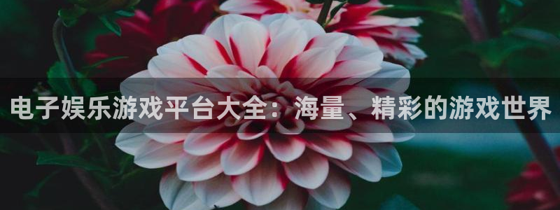 赢彩网5招商：电子娱乐游戏平台大全：海量、精彩的游戏世界
