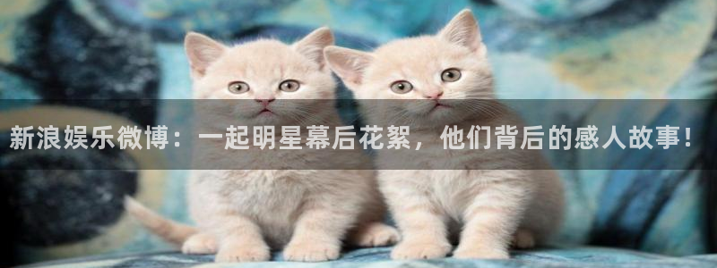 赢彩网招商：新浪娱乐微博：一起明星幕后花絮，他们背后的感人故事！
