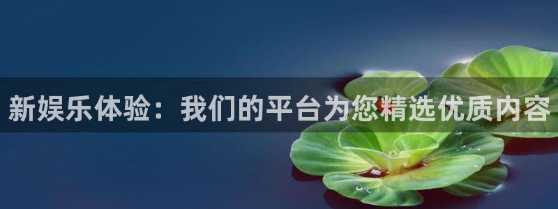 赢彩网3注册：新娱乐体验：我们的平台为您精选优质内容