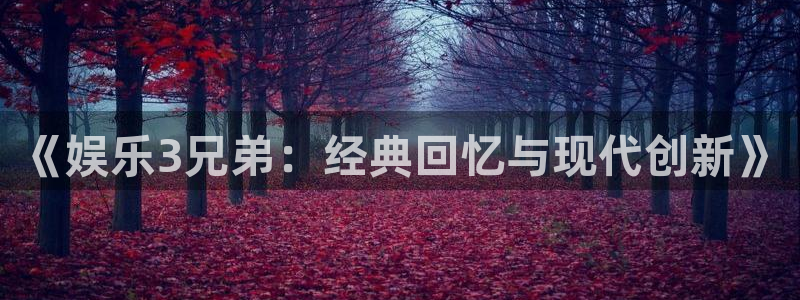 赢彩网体育注册平台：《娱乐3兄弟：经典回忆与现代创新》