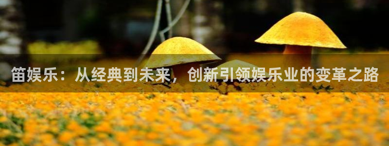 赢彩网凯捷开号链接：笛娱乐：从经典到未来，创新引领娱乐业的变革之路