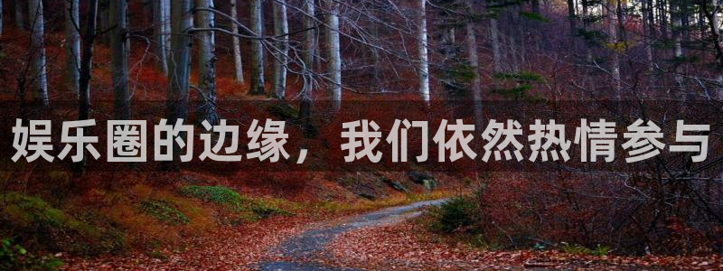 东莞市赢彩网电子科技有限公司：娱乐圈的边缘，我们依然热情参与