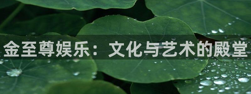 赢彩网股份：金至尊娱乐：文化与艺术的殿堂