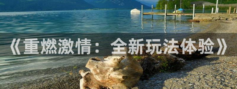 赢彩网体育官网入口登录：《重燃激情：全新玩法体验》