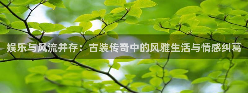 赢彩网3登陆：娱乐与风流并存：古装传奇中的风雅生活与情感纠葛