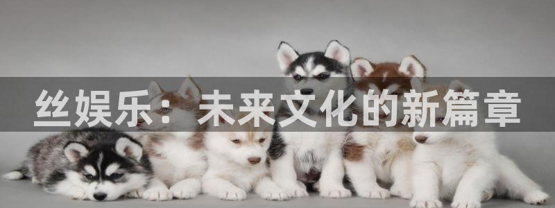 赢彩网3平台登录注册：丝娱乐：未来文化的新篇章