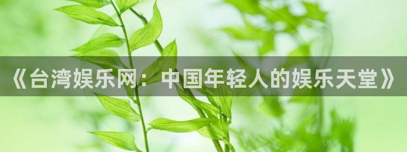 赢彩网体育凯捷平台主管：《台湾娱乐网：中国年轻人的娱乐天堂》