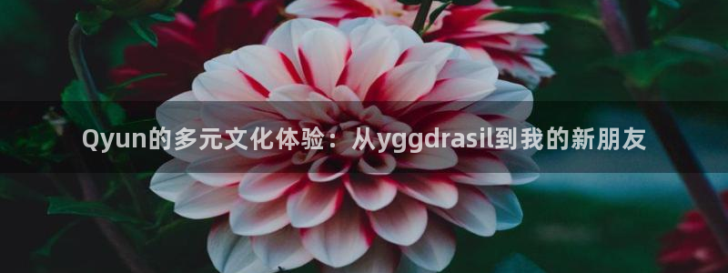 赢彩网官网：Qyun的多元文化体验：从yggdrasil到我的新朋友
