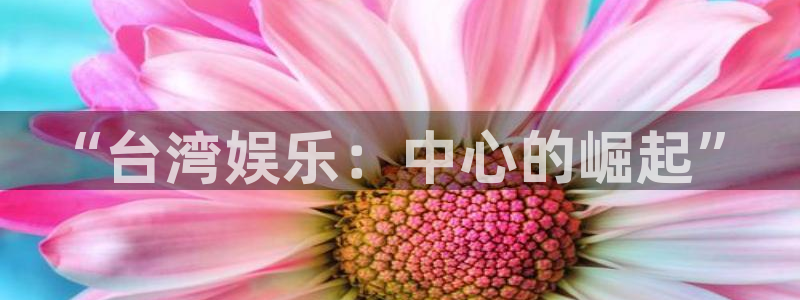 赢彩网3登陆：“台湾娱乐：中心的崛起”
